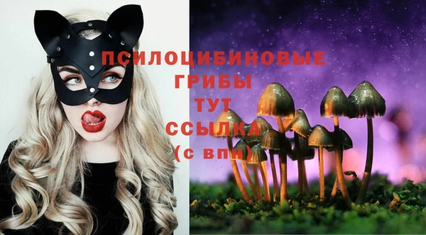 бутират Алексин