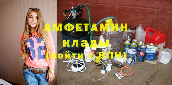 индика Алзамай
