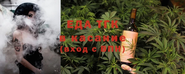 индика Алзамай