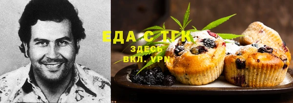 индика Алзамай
