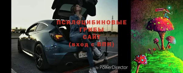 дурь Арсеньев