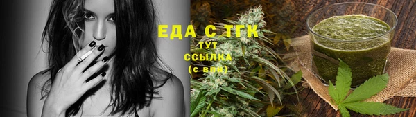 индика Алзамай