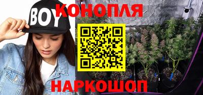 спайс Малгобек