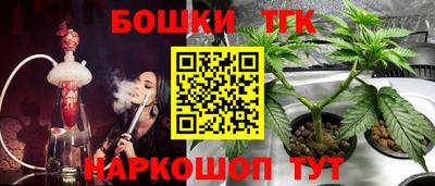 спайс Малгобек