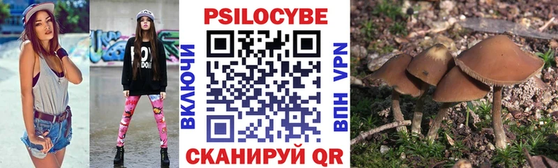 где купить наркотик Ржев Галлюциногенные грибы Cubensis
